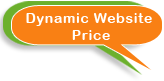 Dynamic Website Price