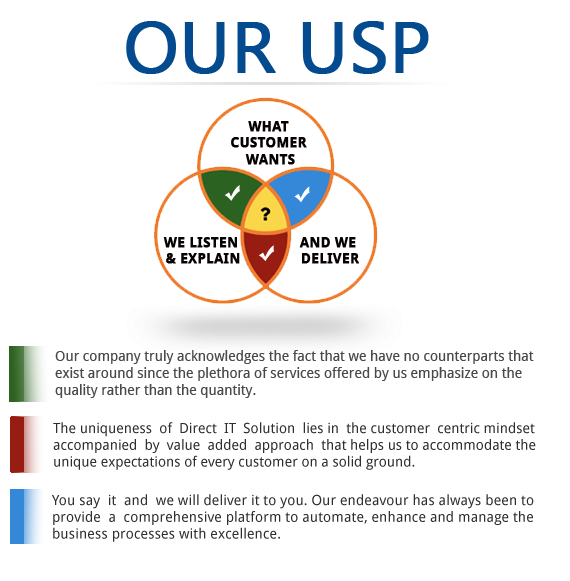 DIERCT IT SOLUTION USP WHY WE UNIQUE